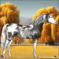 Horse Color:White Spotted Liver Chestnut Mushroom Splash Rabicano