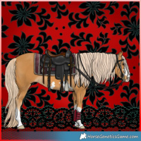 Horse Color:Palomino 