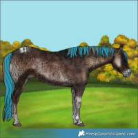 Horse Color:Painted Liver Red Onyx Ice Tobiano 