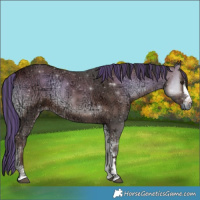 Horse Color:Painted Liver Red Onyx Ice Sabino 