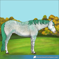 Horse Color:Watercolor Liver Red Onyx Ice Sabino 