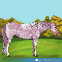 Horse Color:Watercolor Liver Red Dun Ice Tobiano 