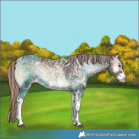 Horse Color:Painted Liver Red Onyx Ice Sabino 