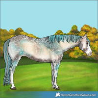 Horse Color:Painted Liver Red Onyx Ice Sabino 