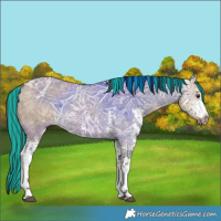 Horse Color:Painted Liver Red Dun Ice Sabino 