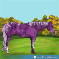 Horse Color:Watercolor Liver Chestnut Ice Tobiano 