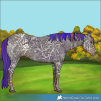 Horse Color:Painted Liver Chestnut Ice Sabino Rabicano 