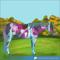 Horse Color:Thunderstruck Liver Chestnut Ice Sabino 