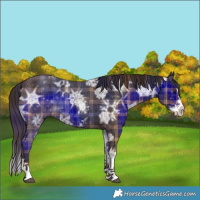 Horse Color:Plaid  Liver Chestnut Ice Sabino Splash 