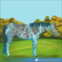 Horse Color:Thunderstruck Liver Chestnut Ice Sabino 