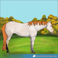 Horse Color:Void Watercolor Liver Red Dun Ice Tobiano 