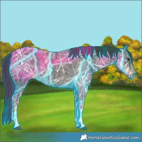 Horse Color:Thunderstruck Liver Chestnut Ice Tobiano 