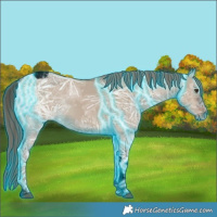 Horse Color:Void Thunderstruck Liver Red Dun Ice Tobiano 