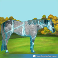 Horse Color:Void Thunderstruck Liver Chestnut Ice Sabino Splash Tobiano 