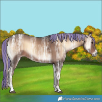 Horse Color:Painted Liver Red Onyx Ice 