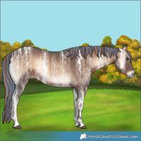 Horse Color:Painted Liver Red Onyx Ice Sabino 