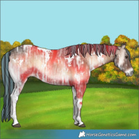 Horse Color:Painted White Spotted Liver Red Onyx Ice 