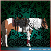 Horse Color:Bay Tobiano