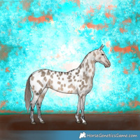 Horse Color:Brown Dun Near Leopard 