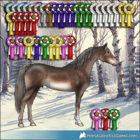 Horse Color:Liver Chestnut Mushroom 
