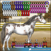 Horse Color:Liver Chestnut Mushroom Sabino Frame 
