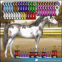 Horse Color:Liver Chestnut Mushroom Sabino Frame 