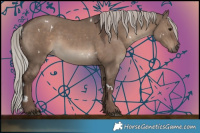 Horse Color:White Spotted Silver Grullo 