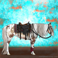 Horse Color:White Spotted Silver Blue Onyx Appaloosa 