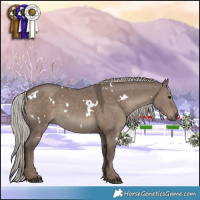 Horse Color:White Spotted Silver Grullo 