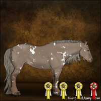 Horse Color:White Spotted Liver Red Dun Mushroom