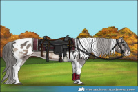 Horse Color:Blue Onyx Tobiano Appaloosa 