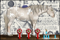 Horse Color:White Spotted Liver Red Dun Pearl Mushroom 