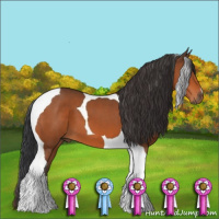 Horse Color:Bay Tobiano