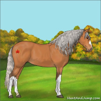 Horse Color:Silver Bay 