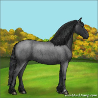 Horse Color:Blue Roan  and Blue Roan 