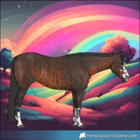 Horse Color:Black  and Brown 