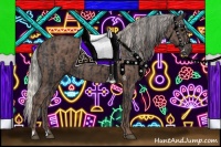 Horse Color:Black and Silver Black