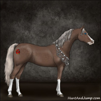 Horse Color:Silver Black Splash 