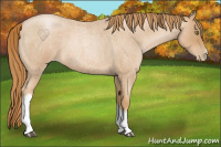 Horse Color:Red Roan Pearl Tobiano Frame 