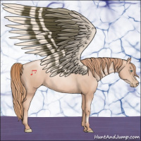 Horse Color:Gold Champagne Pearl Rabicano  and Gold Champagne Pearl Rabicano 