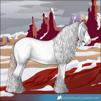 Horse Color:Bay Dun Appaloosa  and Amber Champagne Dun Appaloosa 