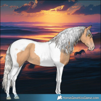 Horse Color:Silver Amber Champagne Tobiano 