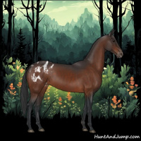 Horse Color:Bay Varnish  and Bay Varnish 