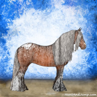 Horse Color:Bay Blanket  and Silver Bay Blanket 