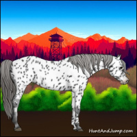 Horse Color:Black Near Leopard 