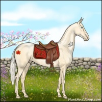 Horse Color:Palomino Pearl 
