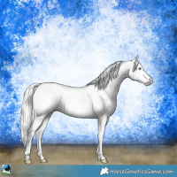 Horse Color:Gray Silver Amber Cream Champagne Roan Dun Splash Tobiano Frame Appaloosa Rabicano 