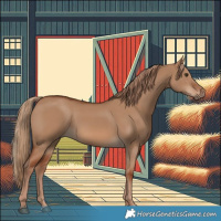 Horse Color:Red Dun 