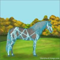 Horse Color:Thunderstruck Silver Grullo 