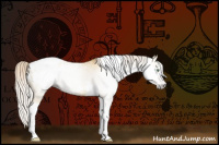 Horse Color:Gray Silver Amber Cream Champagne Roan Dun Splash Tobiano Frame Appaloosa Rabicano 